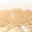 Wholesale #613 Body Wave Frontal Human Hair Blonde Frontal